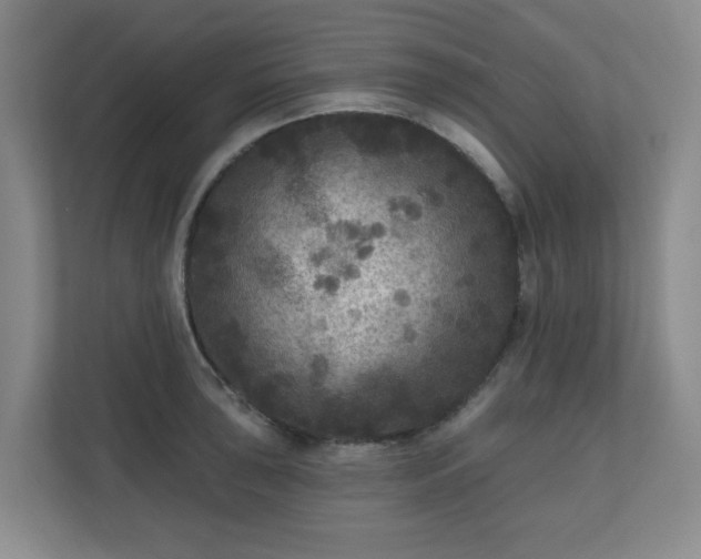 X0000111161043200907071125