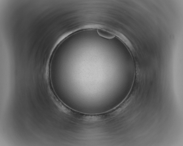 X0000111161044200907071125