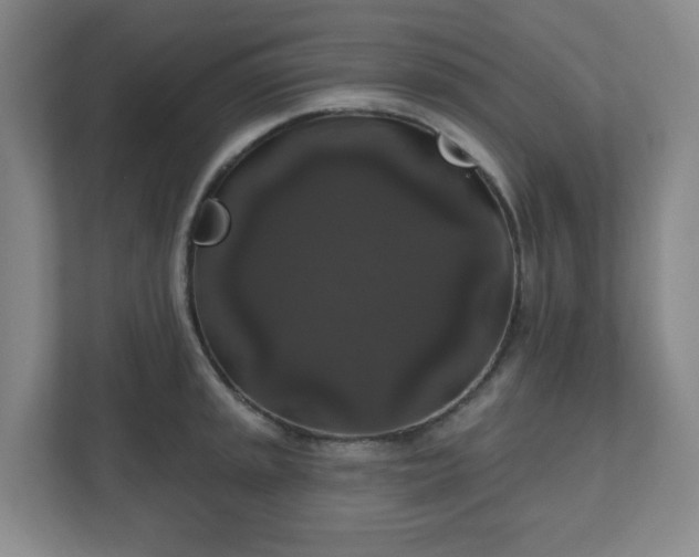 X0000111161045200907071125