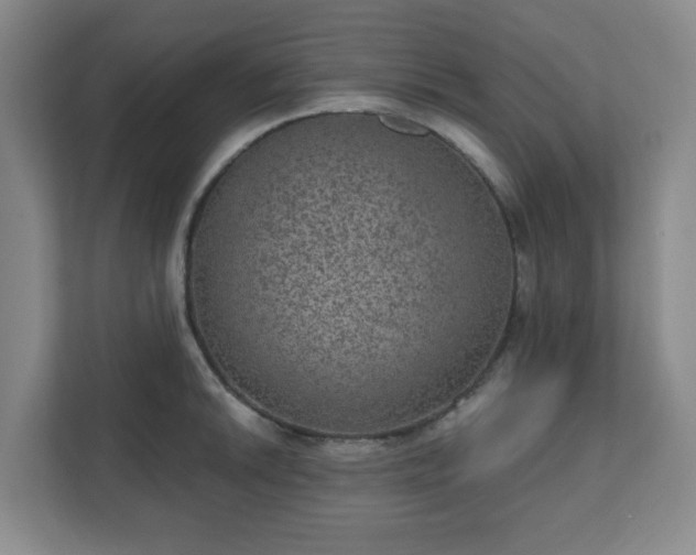X0000111161046200907071125