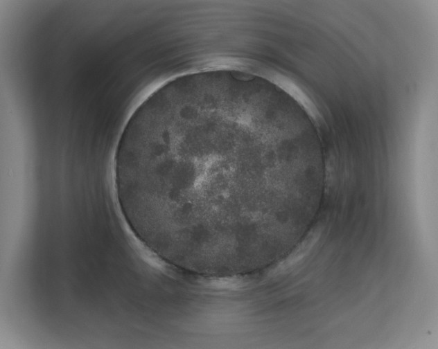 X0000111161047200907071125