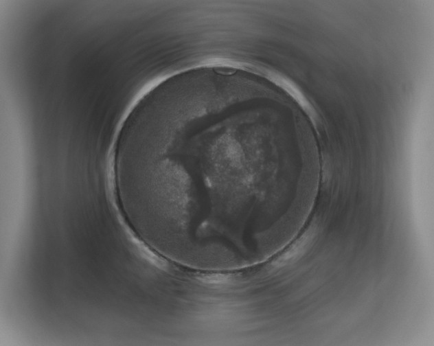 X0000111161048200907071125