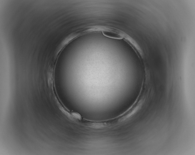 X0000111161049200907071125