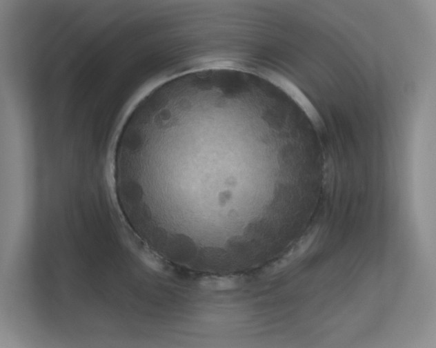 X0000111161051200907071125