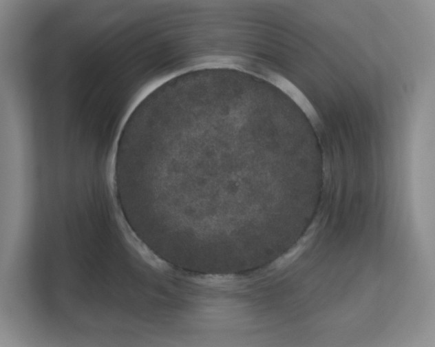 X0000111161052200907071125