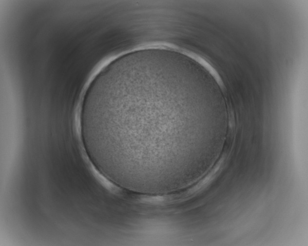 X0000111161054200907071125