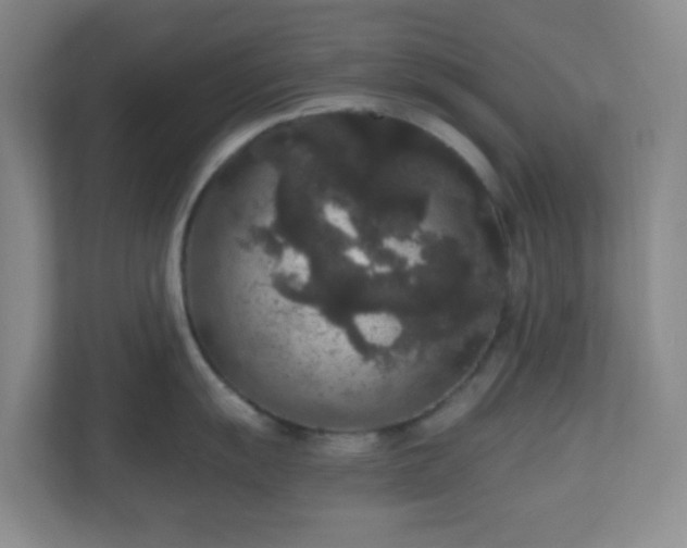 X0000111161055200907071125