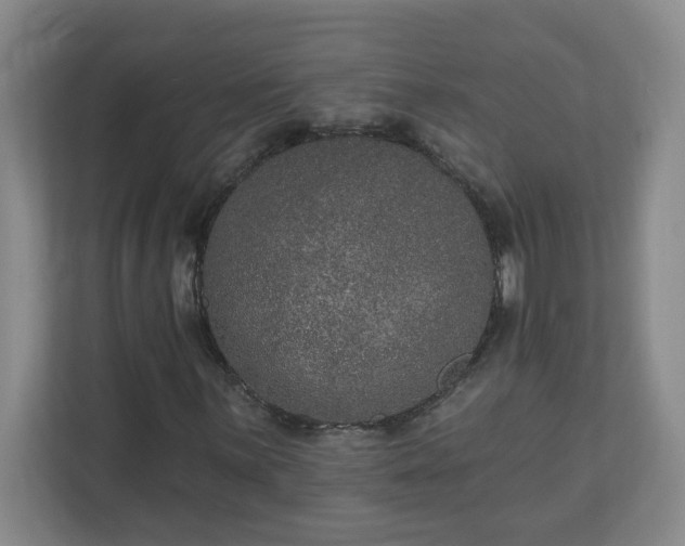 X0000111161059200907071124
