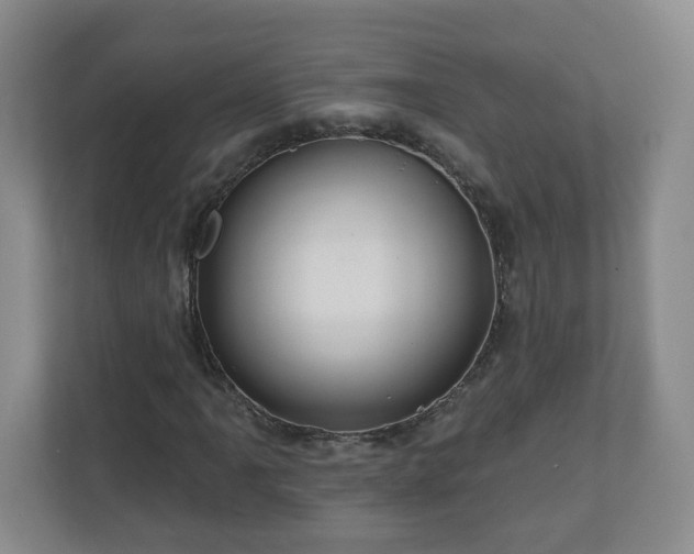 X0000111161061200907071124