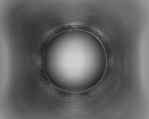 X0000111161062200907071124