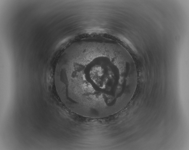 X0000111161063200907071124