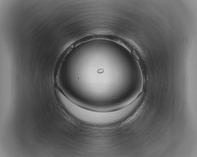 X0000111161065200907071124