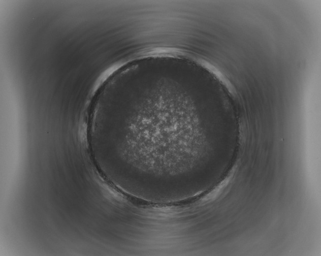 X0000111161066200907071124