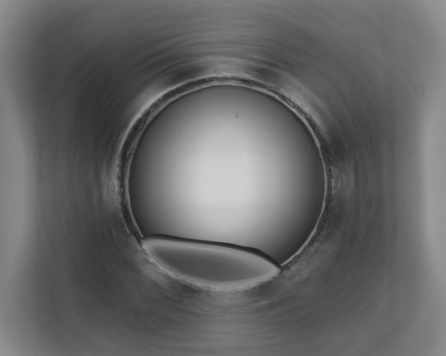 X0000111161068200907071124