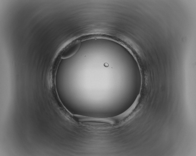 X0000111161069200907071124