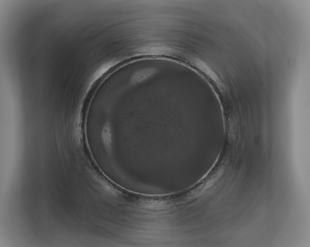 X0000111161071200907071124