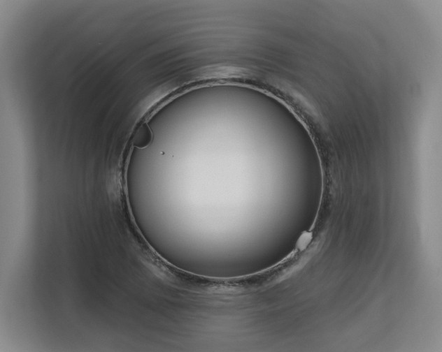 X0000111161073200907071124
