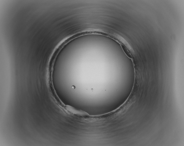 X0000111161076200907071124