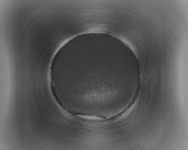 X0000111161077200907071124