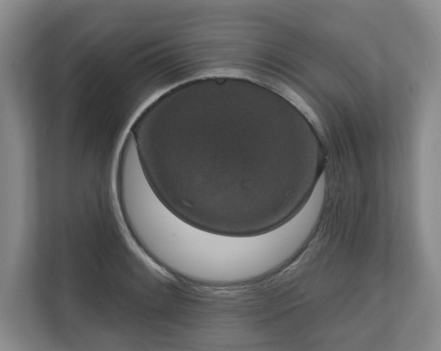 X0000111161084200907071124