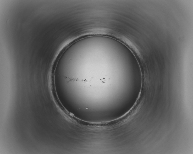 X0000111161085200907071124