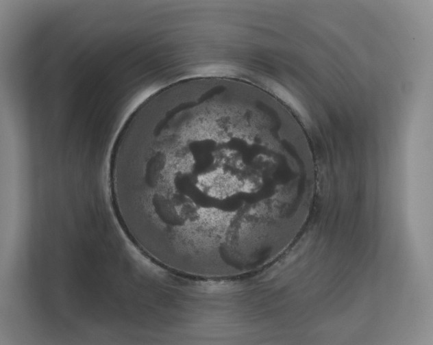 X0000111161087200907071124