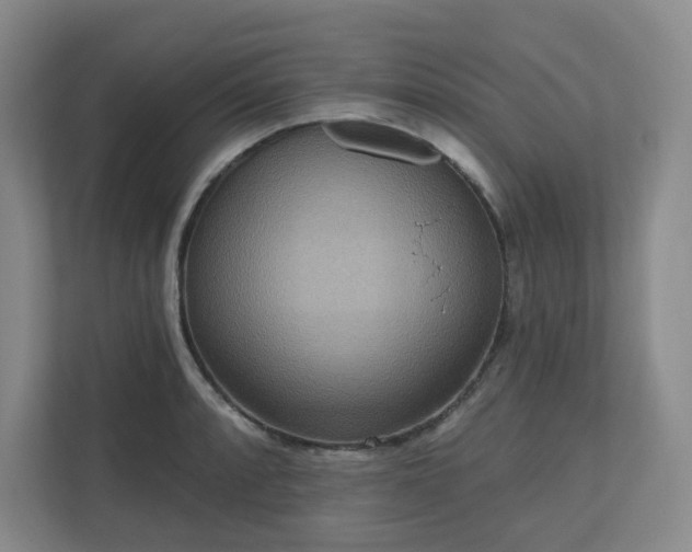 X0000111161088200907071124