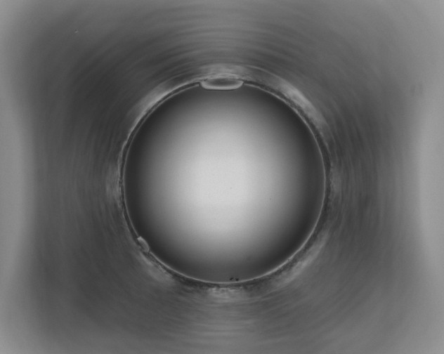 X0000111161089200907071124