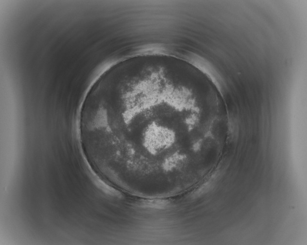 X0000111161090200907071124