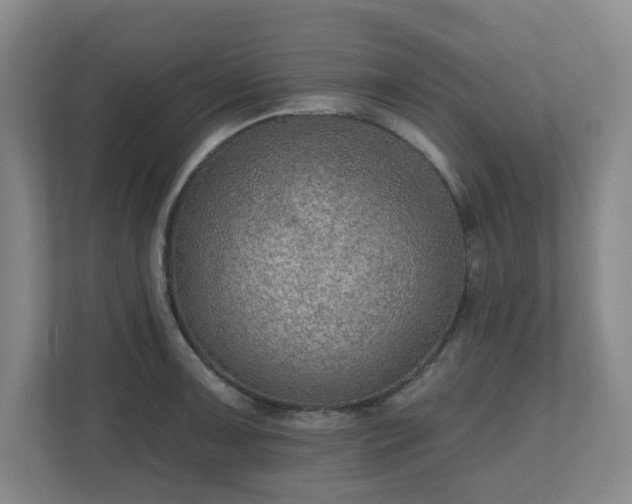 X0000111161091200907071124