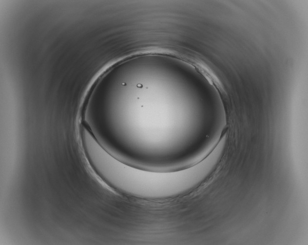 X0000111161092200907071124