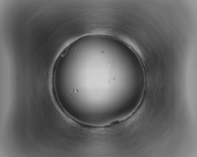 X0000111161093200907071124