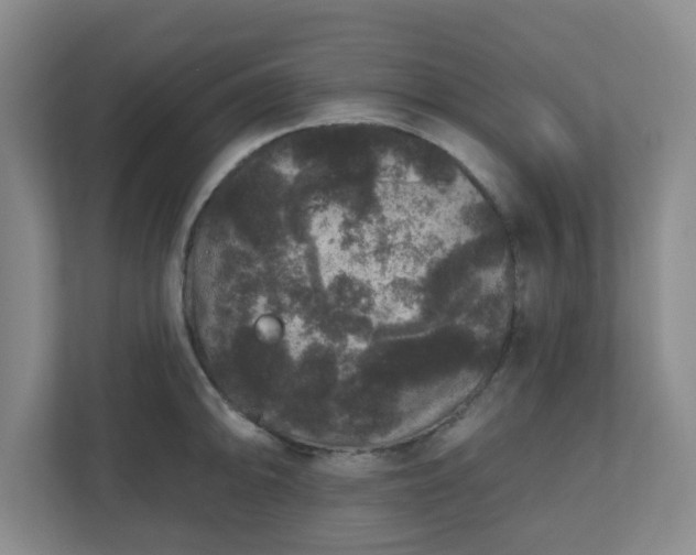 X0000111161094200907071124