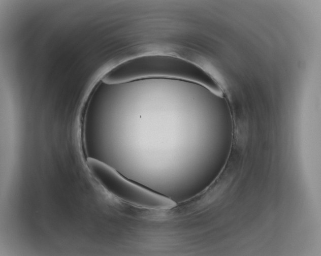 X0000111161096200907071124