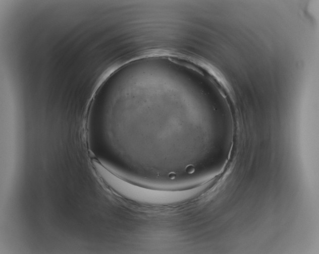 X0000111161097200907071124