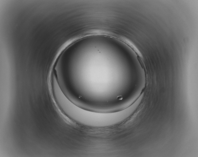 X0000111161098200907071124