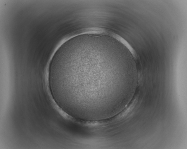 X0000111161099200907071124