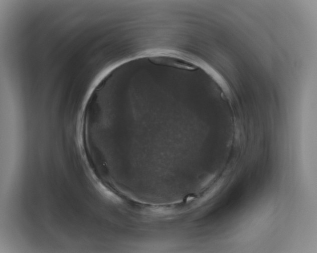 X0000111161102200907071124
