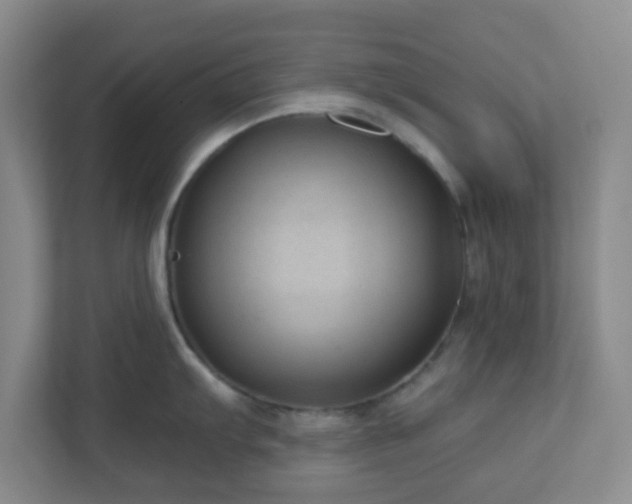 X0000111161103200907071124
