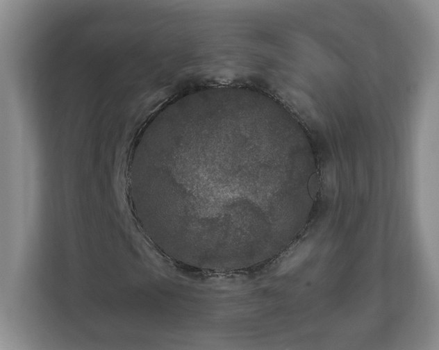 X0000111161105200907071123