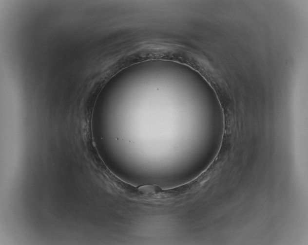 X0000111161109200907071123