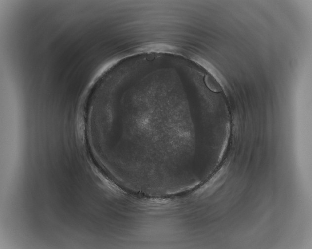 X0000111161115200907071123