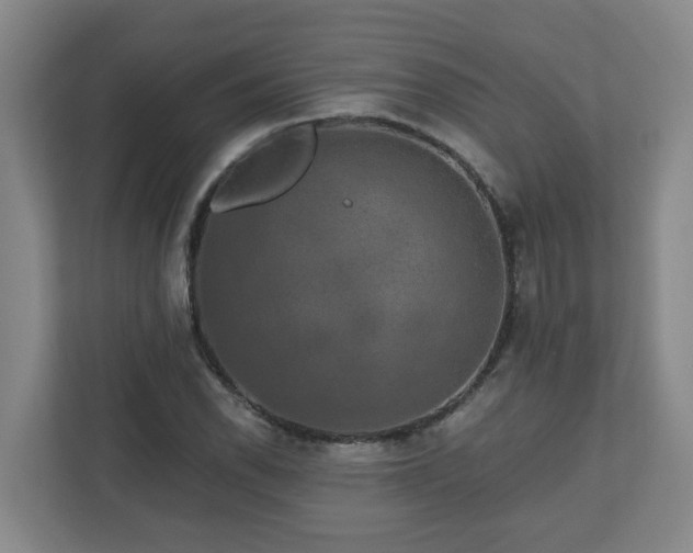 X0000111161118200907071123