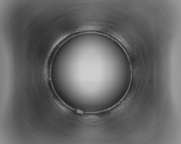 X0000111161119200907071123