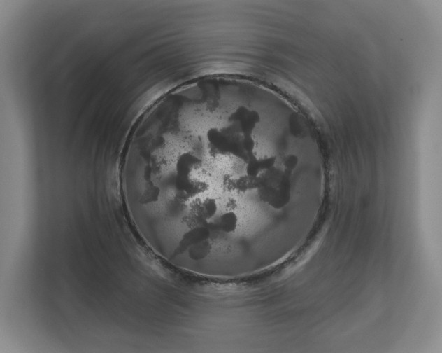 X0000111161121200907071123