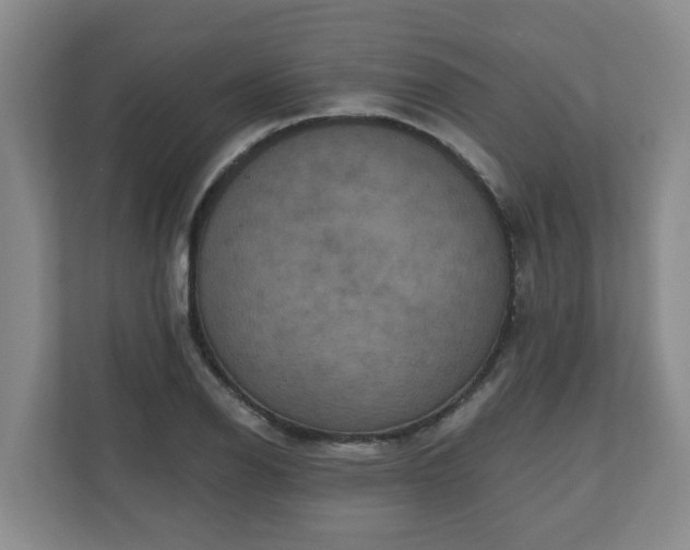 X0000111161126200907071123