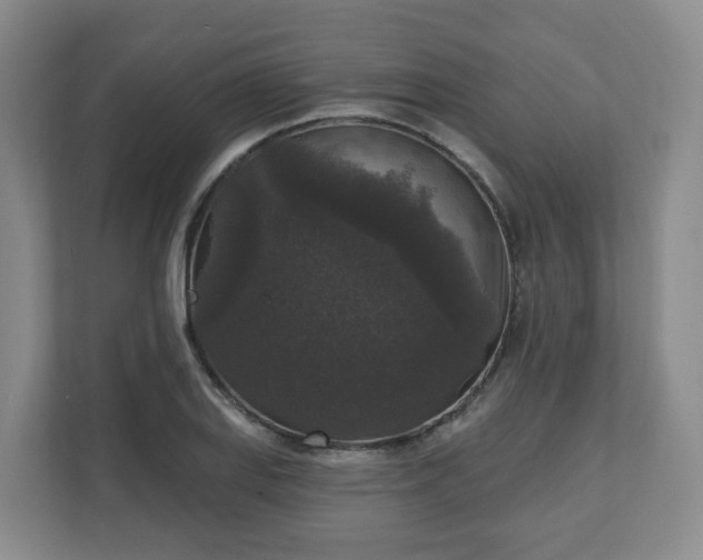 X0000111161127200907071123