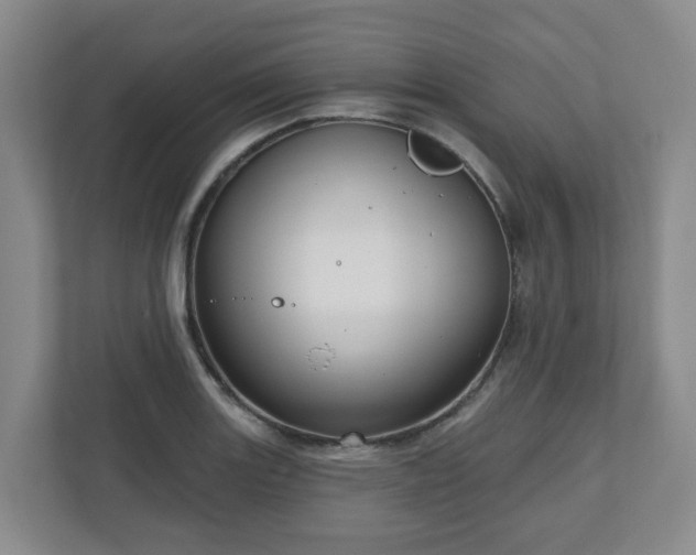 X0000111161131200907071123