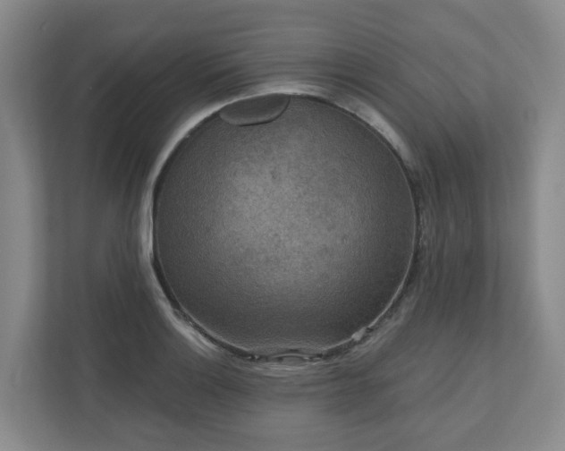 X0000111161132200907071123