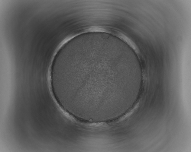 X0000111161133200907071123